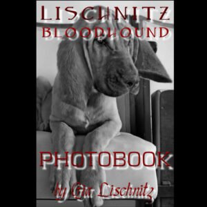 5. LISCHNITZ BLOODHOUND PHOTOBOOK